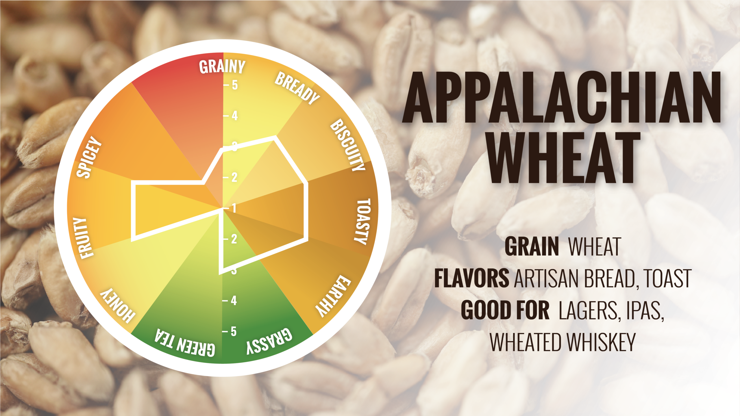 Appalachian Wheat malt flavor wheel