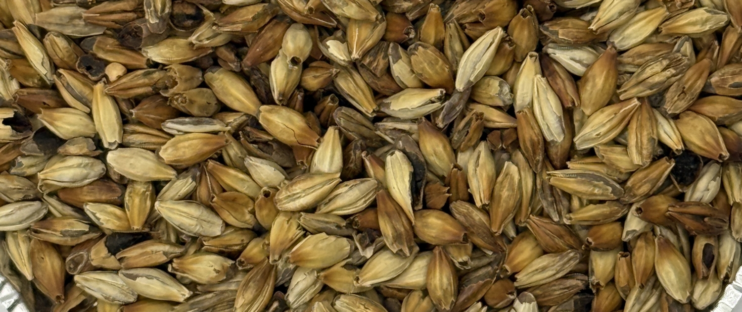 Crystal 80 malt kernels