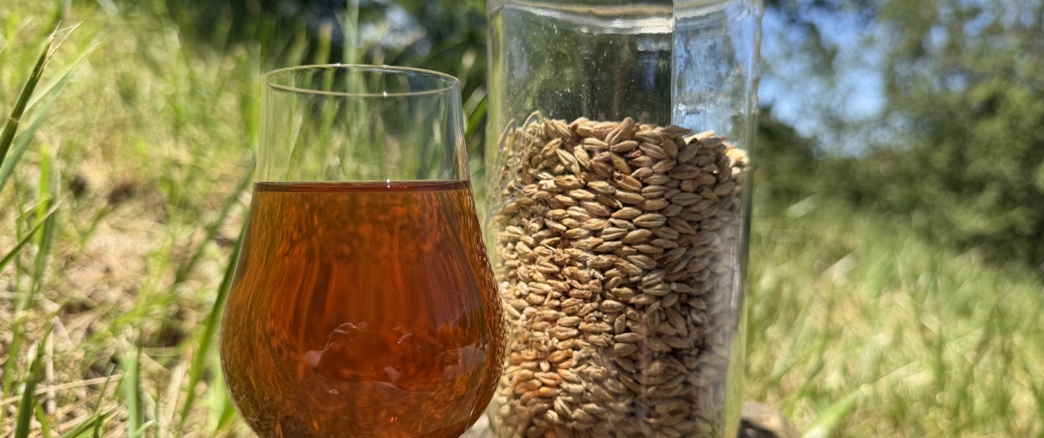 Ridgeline Red malt